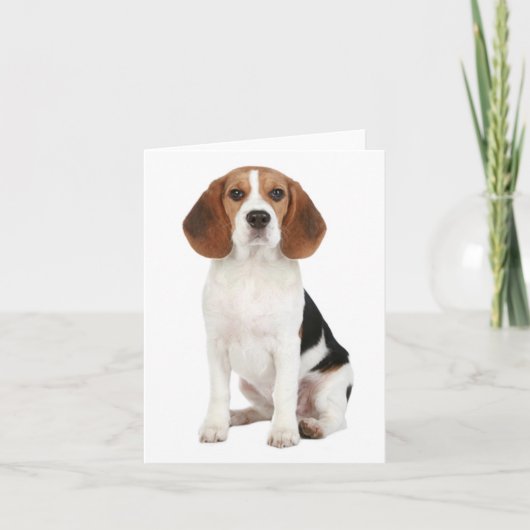 Beagle Puppy Dog Blank Note Kaart (Voorkant)