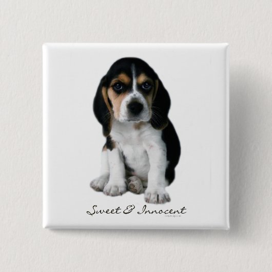 Beagle Puppy Dog Button (Voorkant)