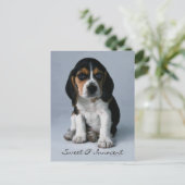 Beagle Puppy Dog Foto Briefkaart (Staand voorkant)