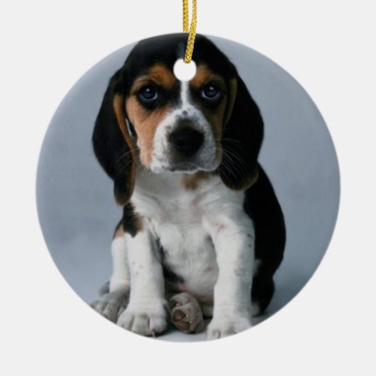 Beagle Puppy Dog Foto Keramisch Ornament (Voorkant)