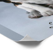 Beagle Puppy Dog Foto Poster (Hoek)