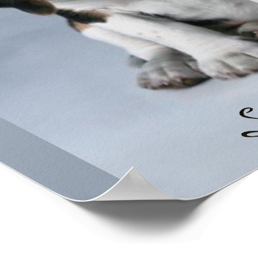 Beagle Puppy Dog Foto Poster (Hoek)