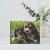 Beagle Puppy Dog Greeting Post Card Briefkaart (Staand voorkant)