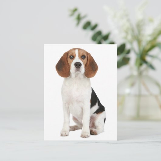 Beagle Puppy Dog Greeting Post Kaart (Staand voorkant)