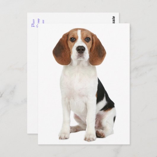 Beagle Puppy Dog Greeting Post Kaart (Voorkant / Achterkant)