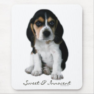 Beagle Puppy Dog Muismat