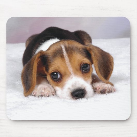Beagle Puppy Dog Muismat (Voorkant)