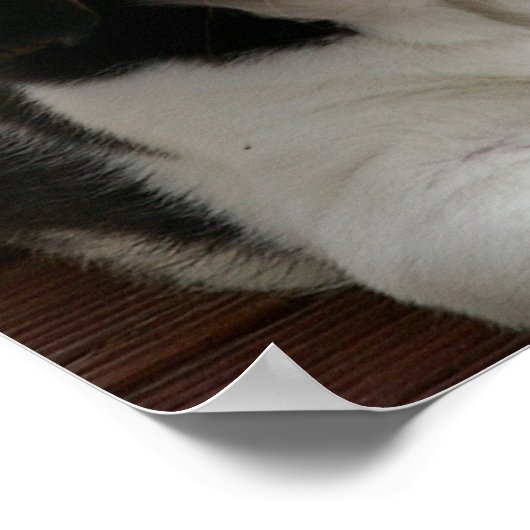 Beagle Puppy Dog Poster Print (Hoek)