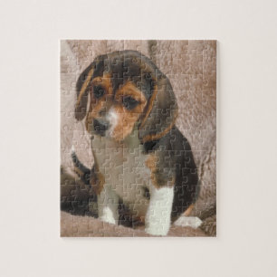 Beagle Puppy Dog Puzzle Legpuzzel