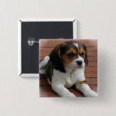 Beagle Puppy Dog Square Pin Vierkante Button 5,1 Cm (Voorkant /achterkant)