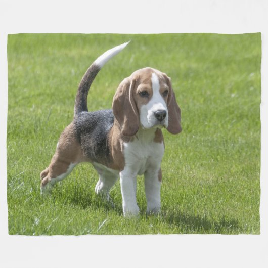 BEAGLE PUPPY FLEECE DEKEN (Voorkant (Horizontaal))