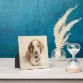 Beagle Puppy Fotoplaat (Insitu)