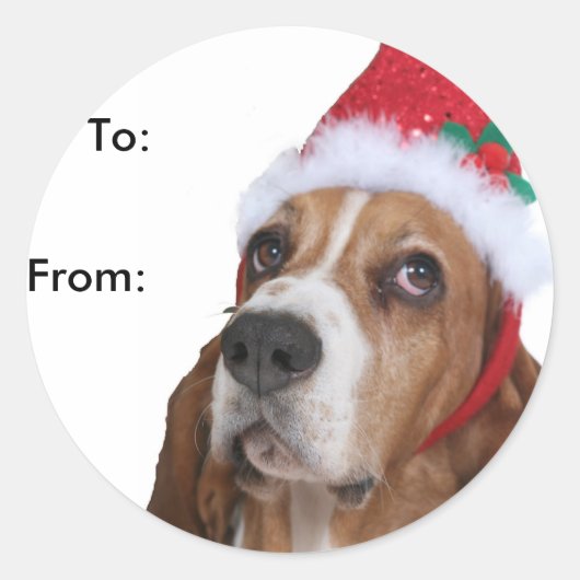 Beagle Puppy Gift Labels (Voorkant)