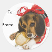 Beagle Puppy Gift Labels (Voorkant)