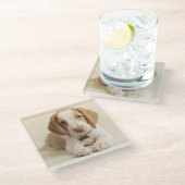 Beagle Puppy Glazen Onderzetter (Schuin)