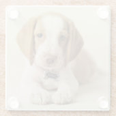 Beagle Puppy Glazen Onderzetter (Achterkant)