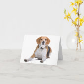 Beagle Puppy Hond Blanke Kaart (Gele Bloem)
