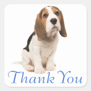 Beagle Puppy Hond Blauw Dank Je - Trouwfeest Vierkante Sticker