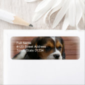 Beagle Puppy Hond Retouradres Label (Insitu)
