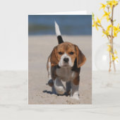 Beagle puppy kaart (Gele Bloem)