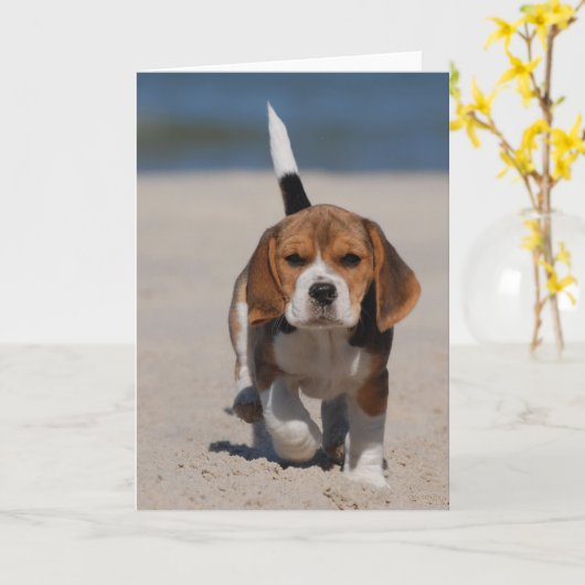 Beagle puppy kaart (Gele Bloem)