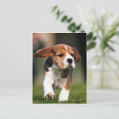 Beagle Puppy Love Briefkaart (Staand voorkant)