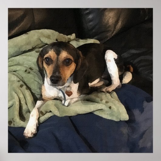 Beagle Puppy Mix Digital Art Poster (Voorkant)