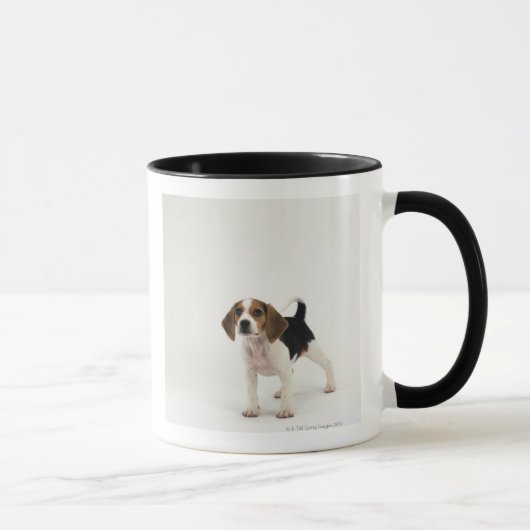 Beagle puppy mok (Rechts)