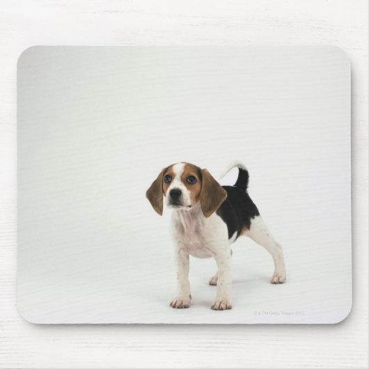Beagle puppy muismat (Voorkant)