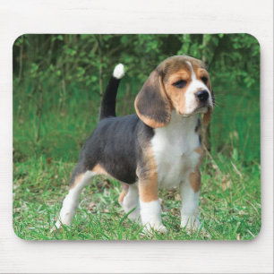 Beagle Puppy Muismat