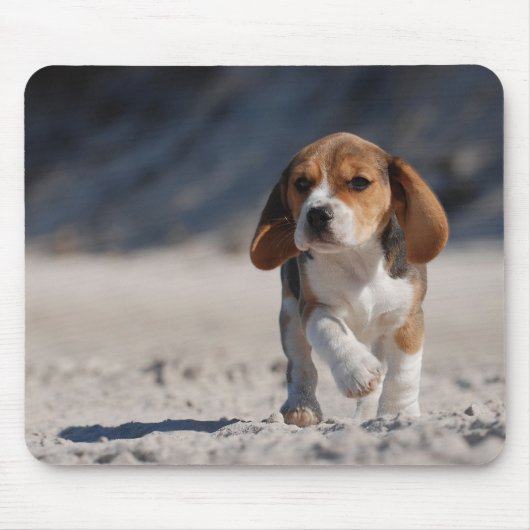 Beagle puppy muismat (Voorkant)