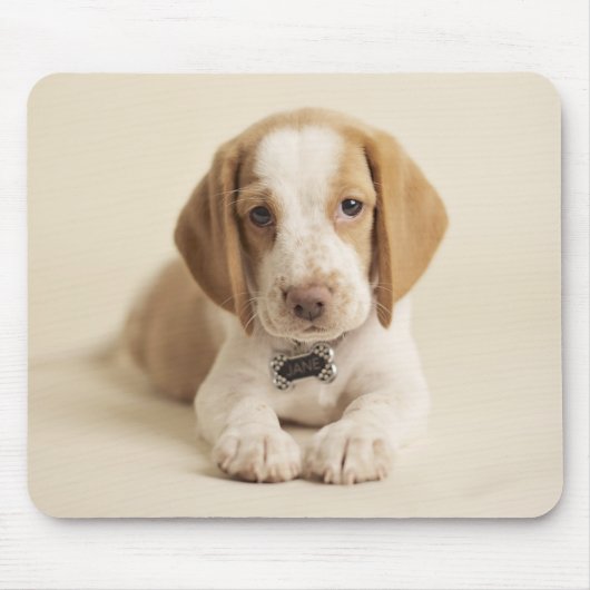 Beagle Puppy Muismat (Voorkant)