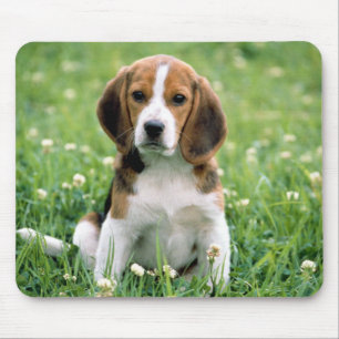 Beagle Puppy Muismat