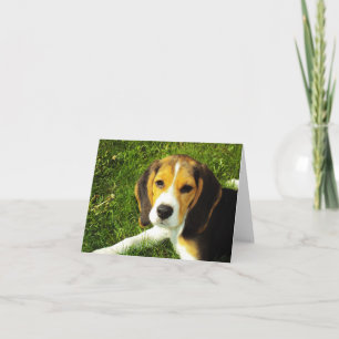 Beagle Puppy Note Card Kaart