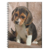 Beagle Puppy notebook Notitieboek (Voorkant)