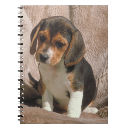 Beagle Puppy notebook Notitieboek (Voorkant)