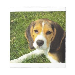 beagle puppy notitieblok