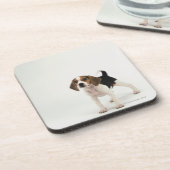 Beagle puppy onderzetter (Linkerzijde)