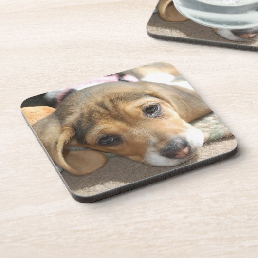 Beagle Puppy Onderzetters (Linkerzijde)