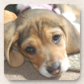 Beagle Puppy Onderzetters (Voorkant)