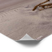 Beagle puppy op het strand Poster (Hoek)