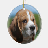 Beagle Puppy Ornament (Links)