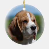 Beagle Puppy Ornament (Achterkant)