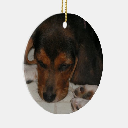 Beagle Puppy Ornament (Rechts)