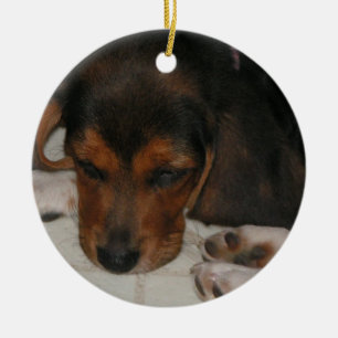 Beagle Puppy Ornament