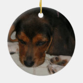 Beagle Puppy Ornament (Achterkant)