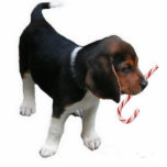 Beagle Puppy Ornament Fotobeeldje Ornament<br><div class="desc">Deze Beagle Puppy Ornament maakt een geweldig kerstcadeau of Stocking Stuffer.</div>