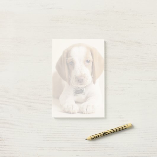 Beagle Puppy Post-it® Notes (Op bureau)