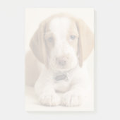Beagle Puppy Post-it® Notes (Voorkant)