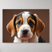 Beagle Puppy Poster (Voorkant)
